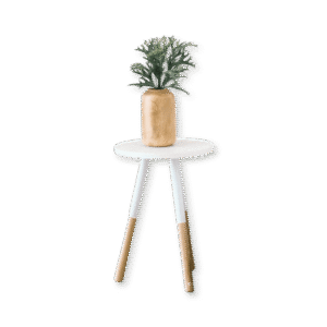 Mauris elit magna, aliquet