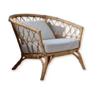 Morbi mattis ipsum sem